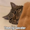 Küfürlü Komik Türk İşi (gyh63wqpx5)