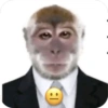 🐒 ردود أفعال القرود 🐒 (mzk5dv4bh9)