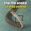 Aff tá em inglês 😒 (8792d4vpsn)