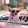 ChiHuAhUaS MoOd ✨🐕 (hvcpjxdkym)
