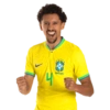 World Cup 2022 - Brazil 🇧🇷 (gf9xj2dqw4)