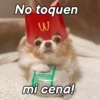 ChiHuAhUaS MoOd ✨🐕 (c8ygkzt492)