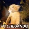 Fulano d' town  (5bd8rztgjy)