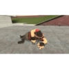 Crazy (276nhdw3tf)