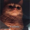Cat meme 2 (7scwygdpvz)