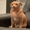Awkward stare