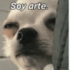 ChiHuAhUaS MoOd ✨🐕