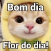 Cumprimentos (bom dia, etc) (mrnsczt89h)