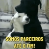 Amizade é Tudo meu Amigo 🫂 (8tpnyrsxqm)