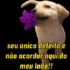 BOM DIA AMOR 💘 (z5r6wx87k2)