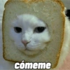 Gatos reacciones 😼 (84kv67q9pz)