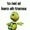 سلحفاة مثارة