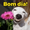 Cumprimentos (bom dia, etc) (rdnkzp8fch)