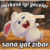 ميم تركي: لا يوجد دماغ (975nw483pb)