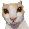 Michis Pixelados ≫🐈≪ (7b85q3yrv6)