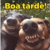Cumprimentos (bom dia, etc) (2cwsj9xg3v)