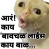 Marathi (htsrpcj8vg)