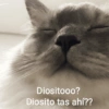 🐾🐱🐈 Gatitos :v 🐈🐱🐾 (f5r9tcdx4z)
