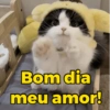 Cumprimentos (bom dia, etc) (8hb5svdw6k)