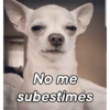 ChiHuAhUaS MoOd ✨🐕 (89zjvm4d3r)