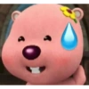Loopy pororo meme (rv3phqcmgy)