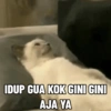 قطط شاذة (ktvhy38w4n)