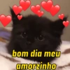 BOM DIA AMOR 💘 (d6bvhrjqfs)