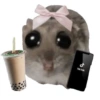 هامستر (jy3h8r45df)