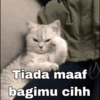 KUCING NGAMBEK (xswhgyp6jc)