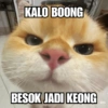 Meme Kucing Lucu 🐱 (tm3cp5v4x8)