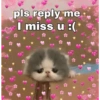 Pookiee Cat 😺🎀 (n93j67dpsm)