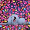 بوبو رومانسي 😍❤️