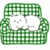 🧿 Gato Relax🐱🐈