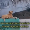 Assim de saúde ✋🏼🤪🤚🏼 (gzd3cmyjs7)