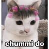 Pookiee Cat 😺🎀 (ndgtfypbcq)