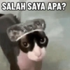 Kucing Anomali 5 (rchf876gs5)