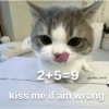 Pookiee Cat 😺🎀 (fvtjpq5swb)