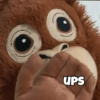 قرد الدبدوب 🐵 (chxm4ngkp7)