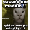 Pookiee Cat 😺🎀 (b9csyj3gq8)