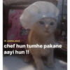 Pookiee Cat 😺🎀 (pgznt2cqrb)