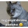 KUCING NGAMBEK (zhw9v26jpx)