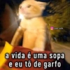 Assim de saúde ✋🏼🤪🤚🏼 (xjn86ms2bd)