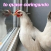 Assim de saúde ✋🏼🤪🤚🏼 (qkrynhcm8x)