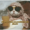 مشكلة يناير