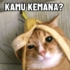 Kucing Anomali 5 (3nw7yth68v)