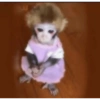 الأميرة الصغيرة