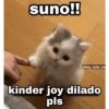 Pookiee Cat 😺🎀 (2c6sdfm47n)