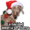 Christmas Eternal