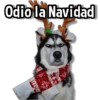 I Hate Christmas