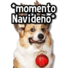 Christmas Moment